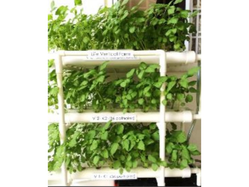 “Learning About Vertical Farming” • Life Childcare